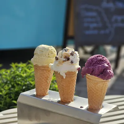 Sztuka Lodów - rzemieślnicze lody na gałki Jastrzębie-Zdrój